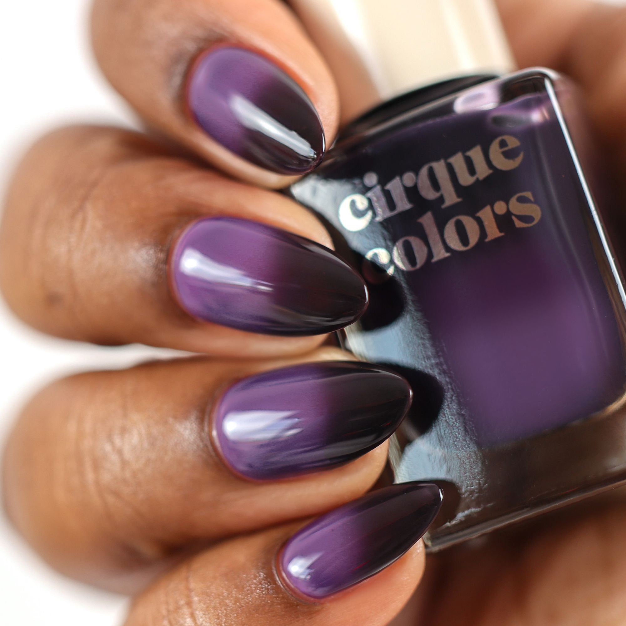 Treble Maker (Ships mid Nov)