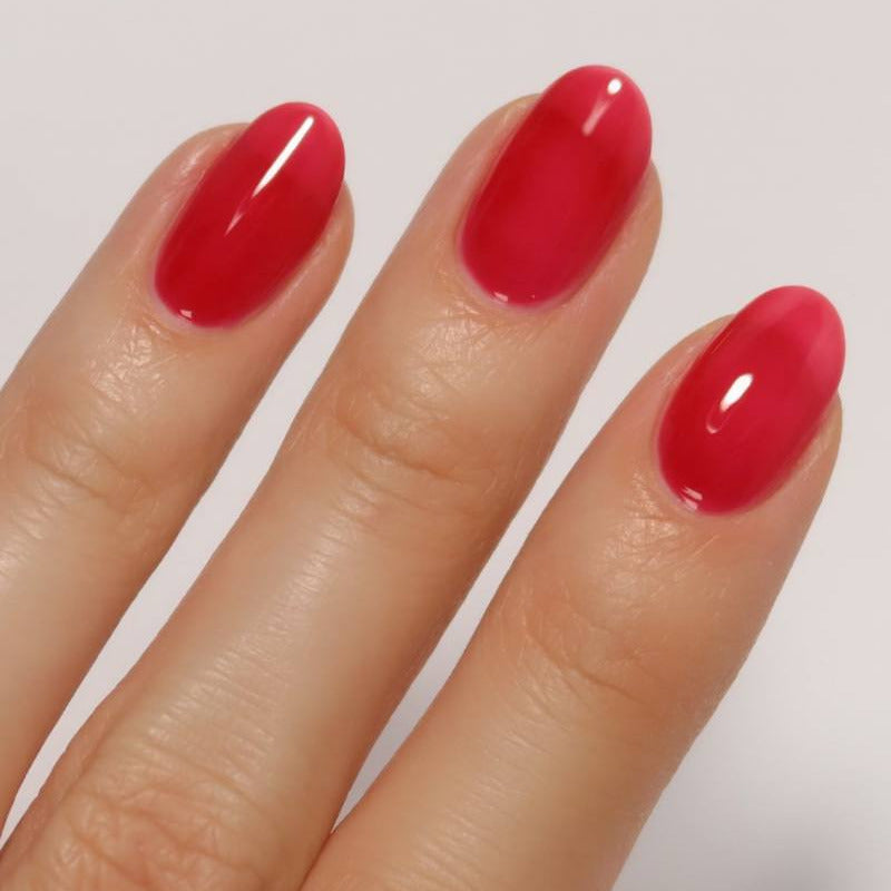 Scarlet Jelly (Ships mid Nov)