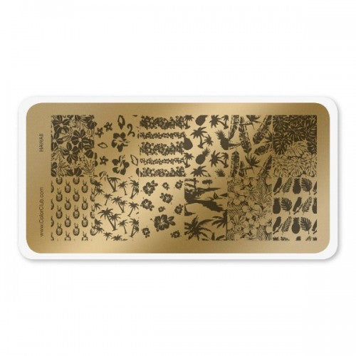 Stamping Plate Hawaii