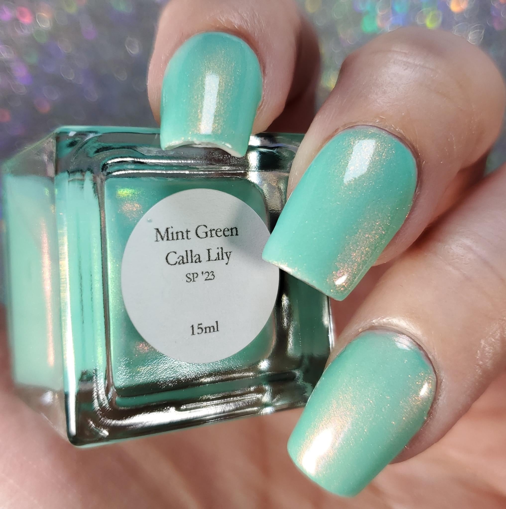 Mint Green Calla Lily
