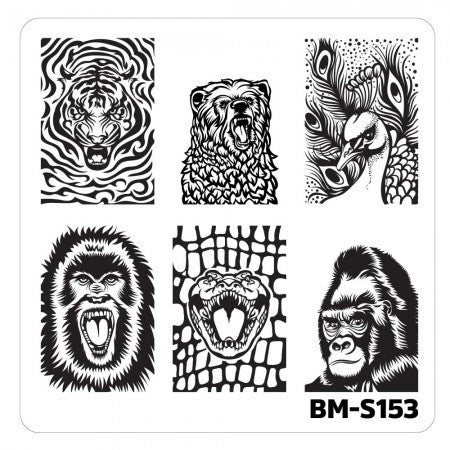Nail Art Stamping Plates-Fuzzy and Ferocious - BM-S153, Fangs and Feathers